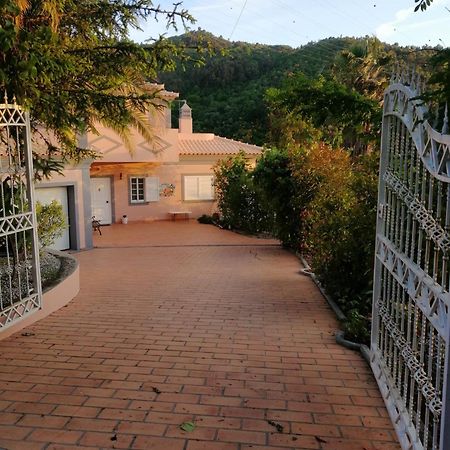 Casa Loureiro - Vista Rio Douro Villa Resende Eksteriør bilde