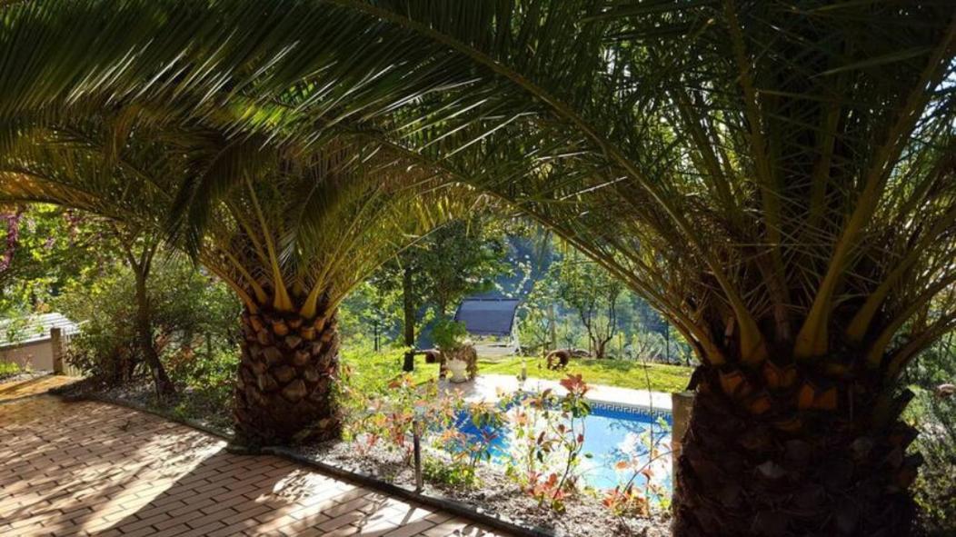 Casa Loureiro - Vista Rio Douro Villa Resende Eksteriør bilde