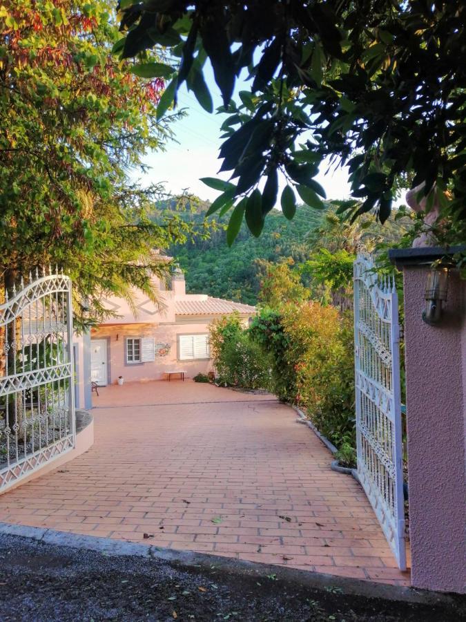 Casa Loureiro - Vista Rio Douro Villa Resende Eksteriør bilde