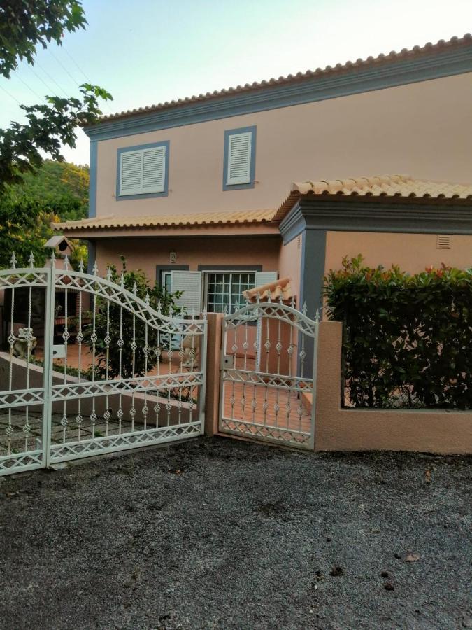 Casa Loureiro - Vista Rio Douro Villa Resende Eksteriør bilde