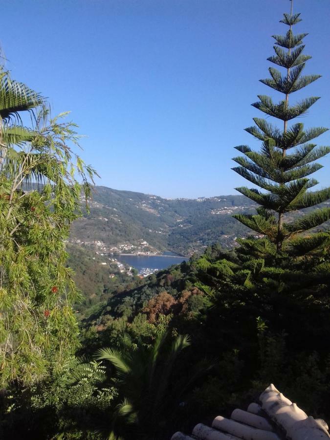Casa Loureiro - Vista Rio Douro Villa Resende Eksteriør bilde